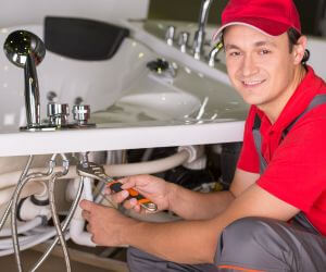 About Emergency plumbing pros Freeman Spur, IL